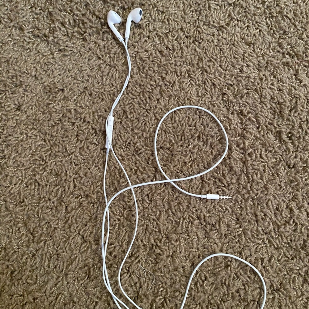 Apple Headphones